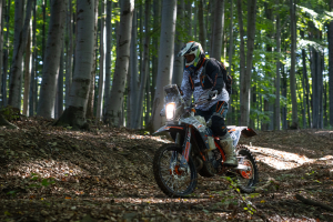 Podzimní Vizovice 2026 - fotogalerie